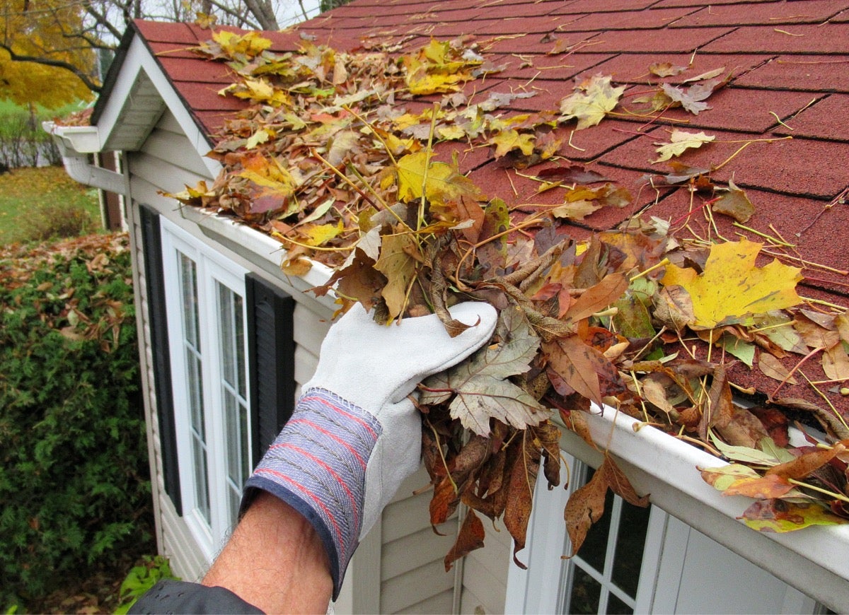 A person wearing a glove is clearing fallen autumn leaves from a rain gutter along a red roof, showcasing the best roof washing service in Northeast Kentucky. The house features white siding and black-trimmed windows, while trees in the background display vibrant fall foliage.